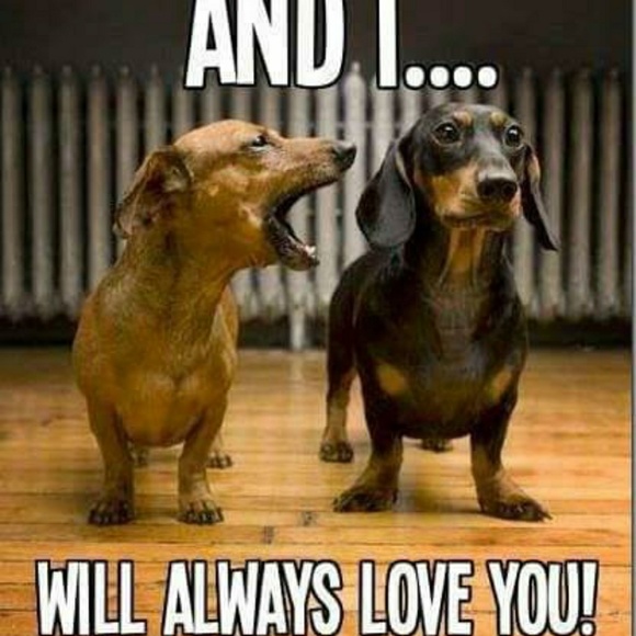 My World ! - Picture 4 of 4